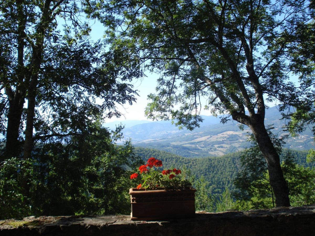 Castello Di Sarna Villa Chiusi della Verna Exteriör bild